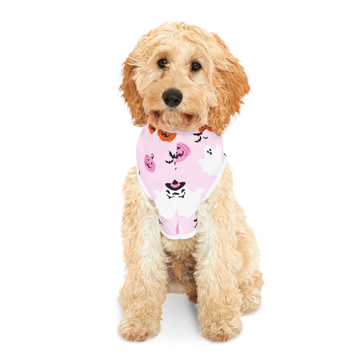 Halloween Pet Hoodie