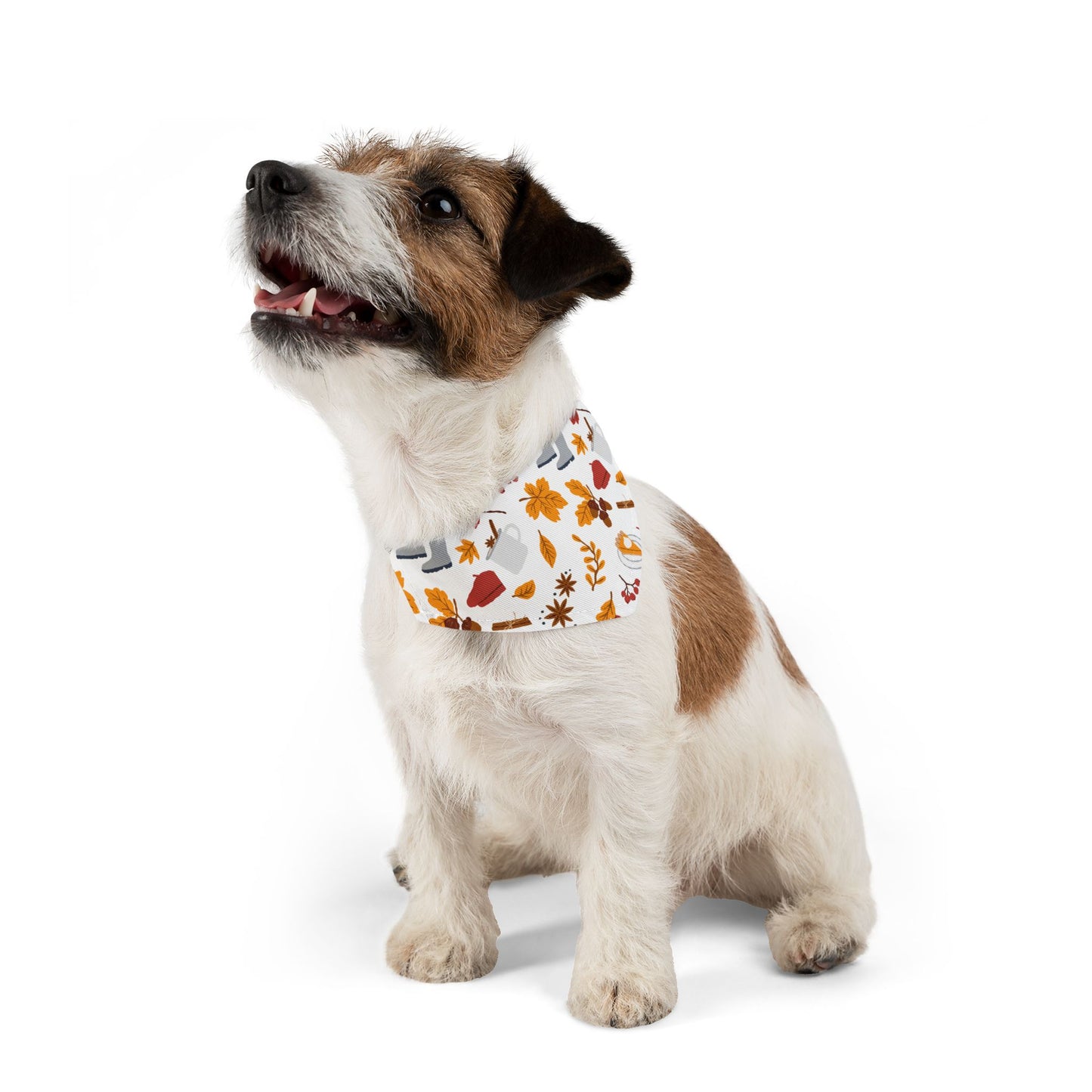 Autumn Pet Bandana Collar
