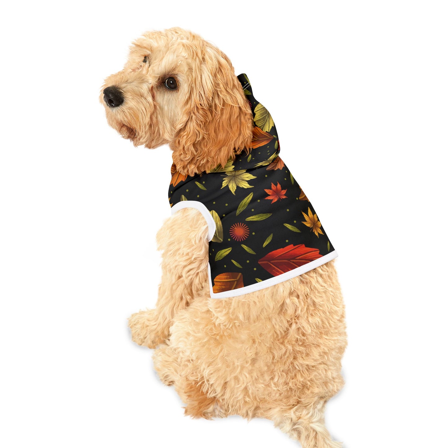 Autumn Leaves Pet Hoodie