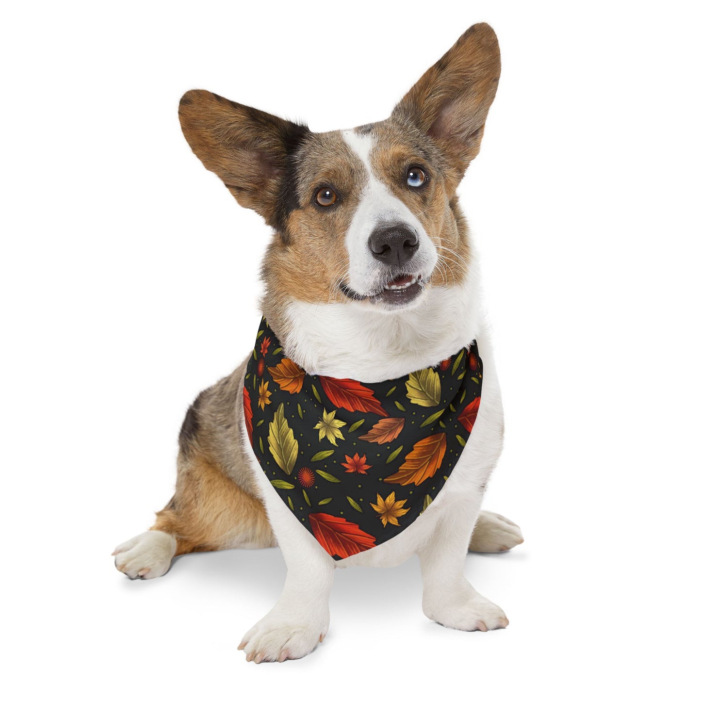 Autumn Leaves Pet Bandana Collar