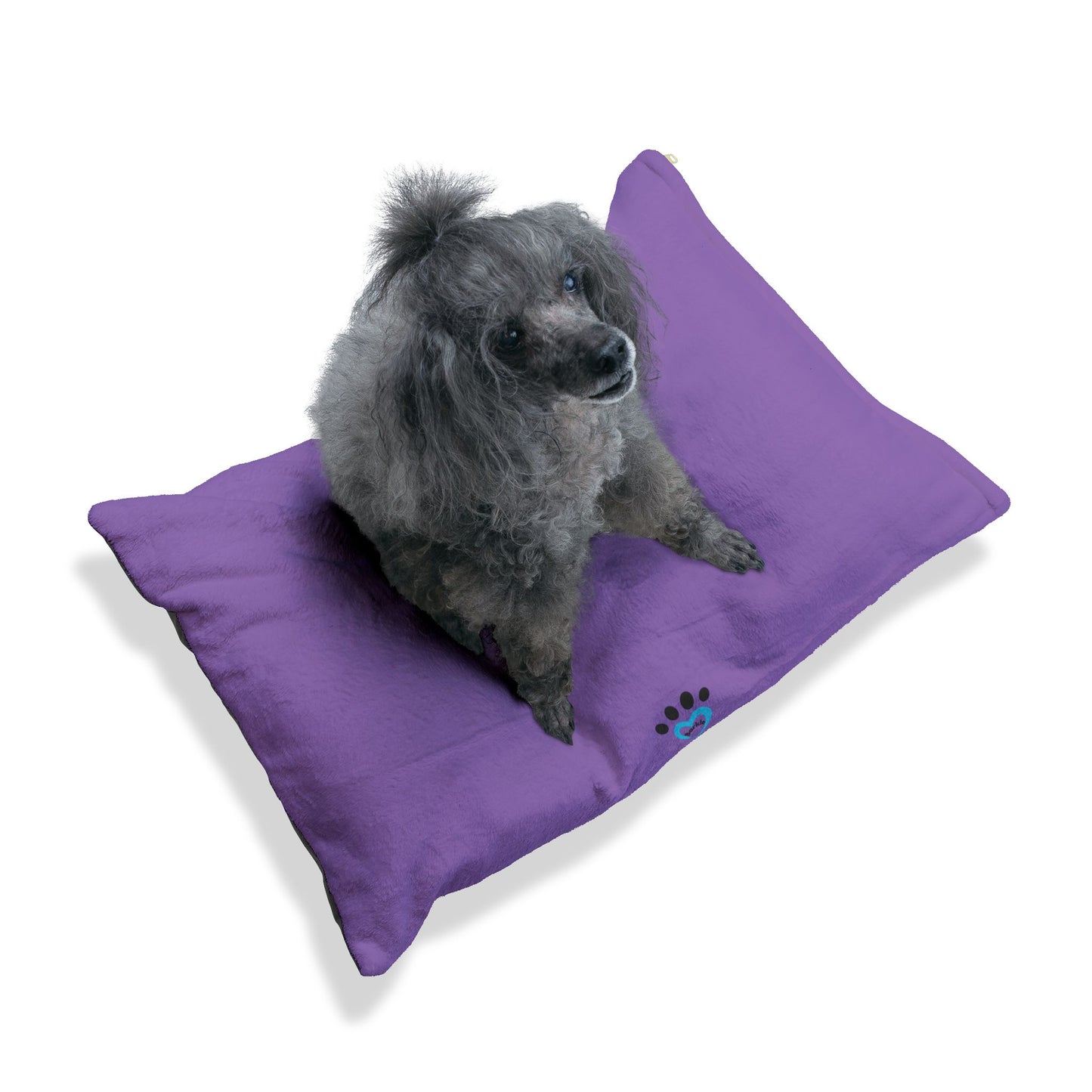 Barkle Purple Bed