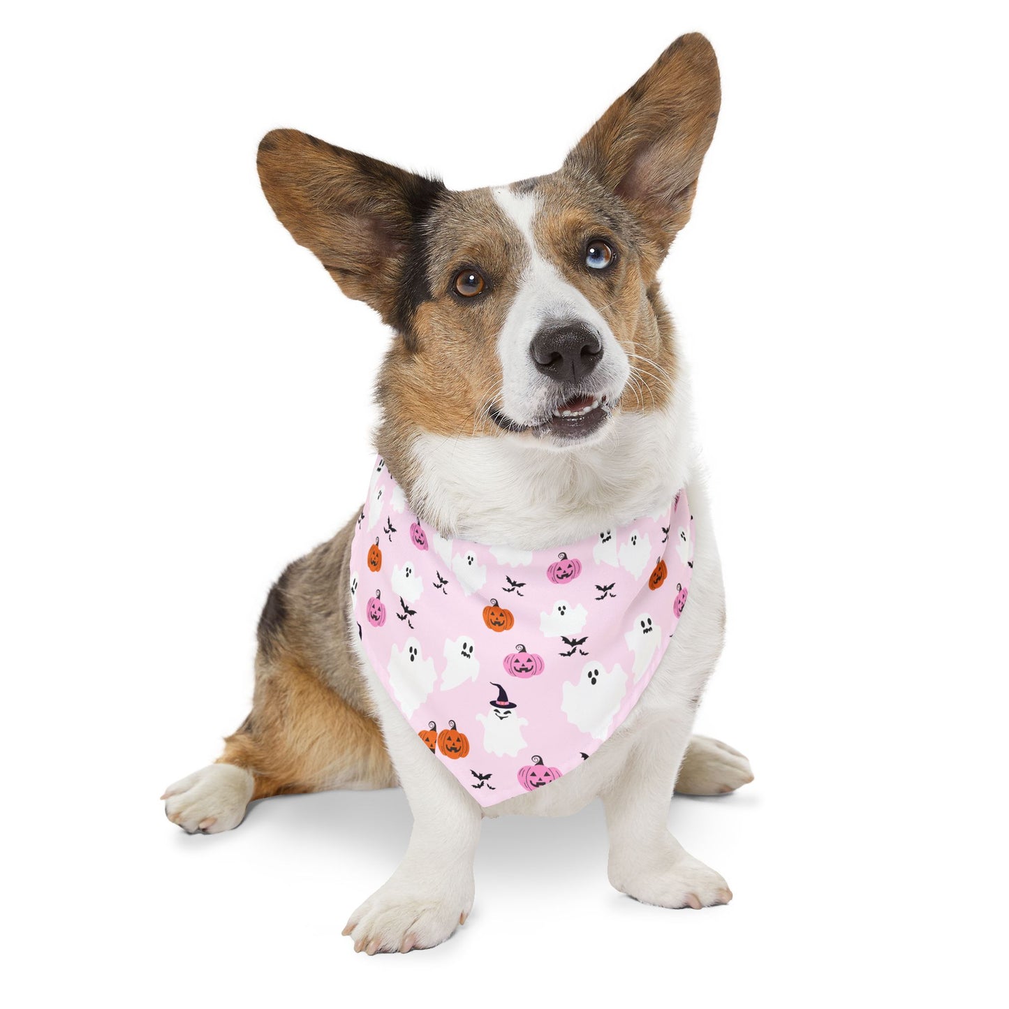 Halloween Pet Bandana Collar