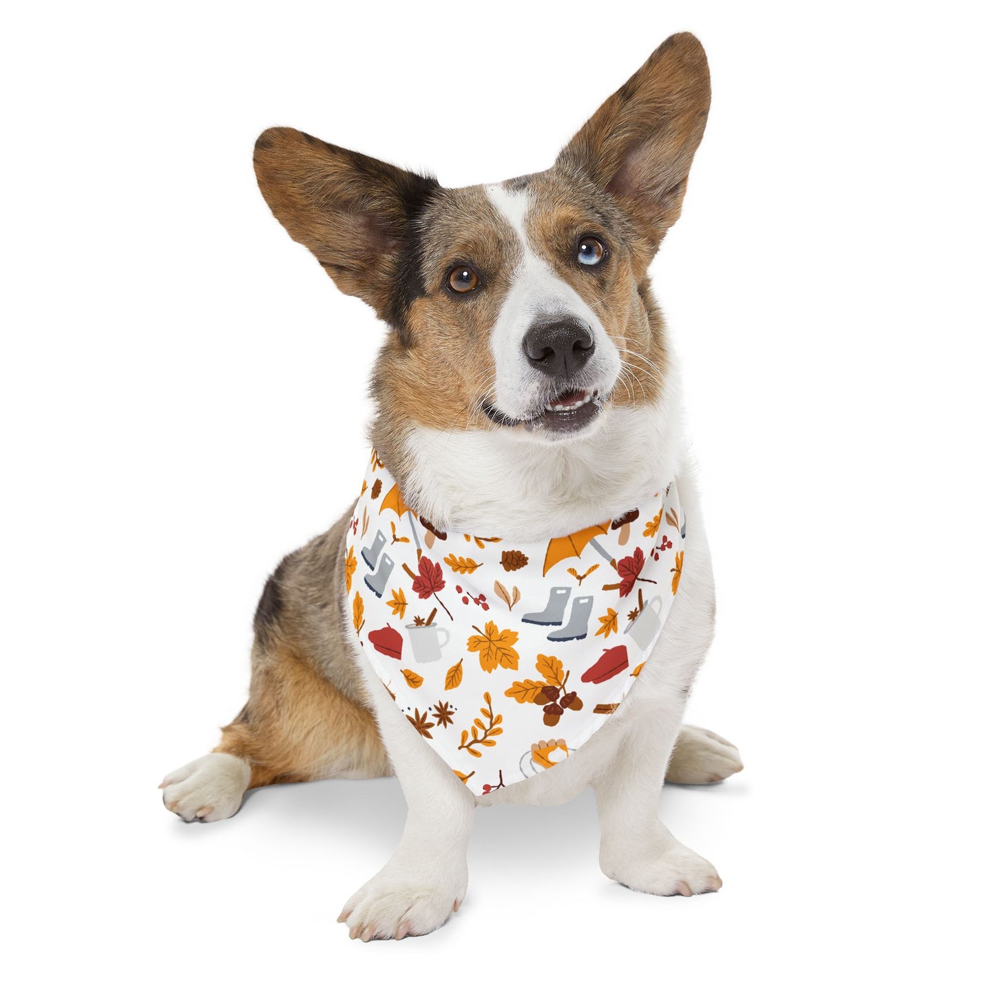 Autumn Pet Bandana Collar