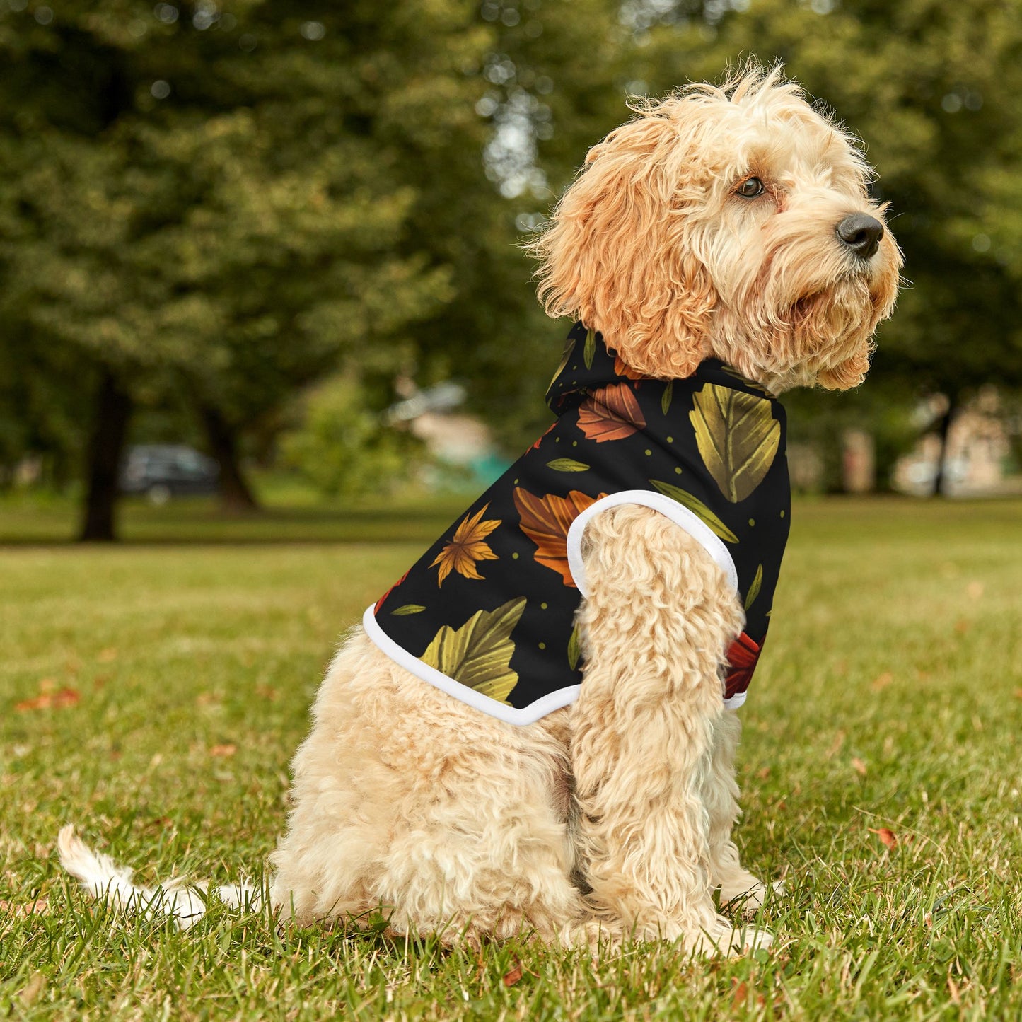 Autumn Leaves Pet Hoodie