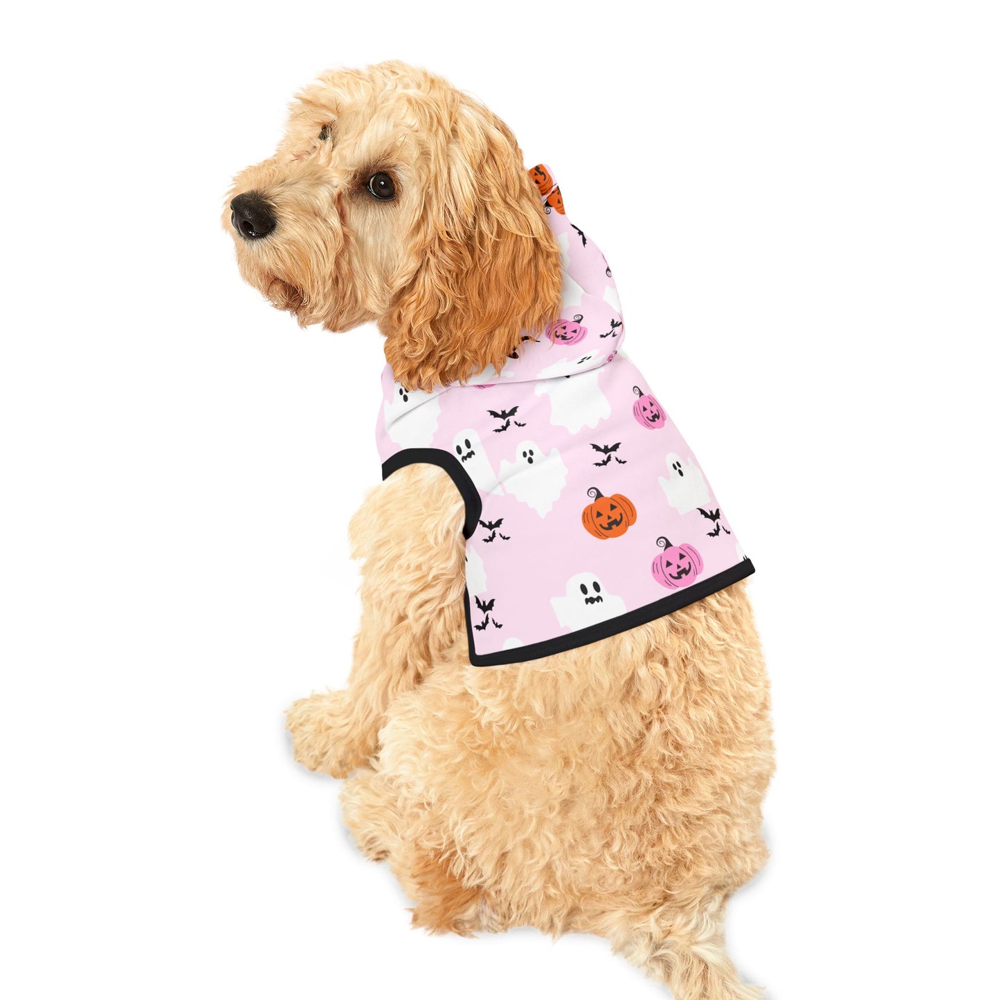 Halloween Pet Hoodie