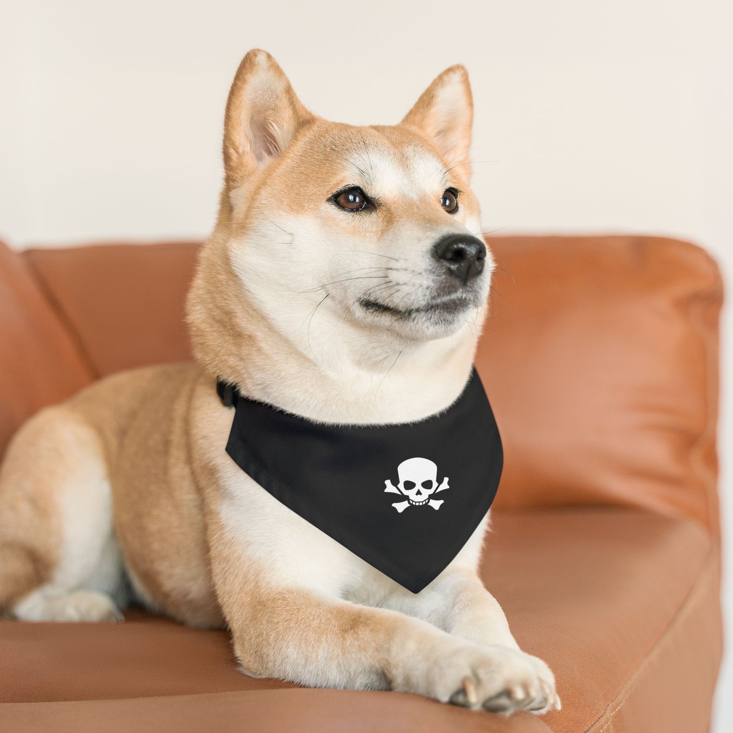 Skull & Bones Pet Bandana Collar
