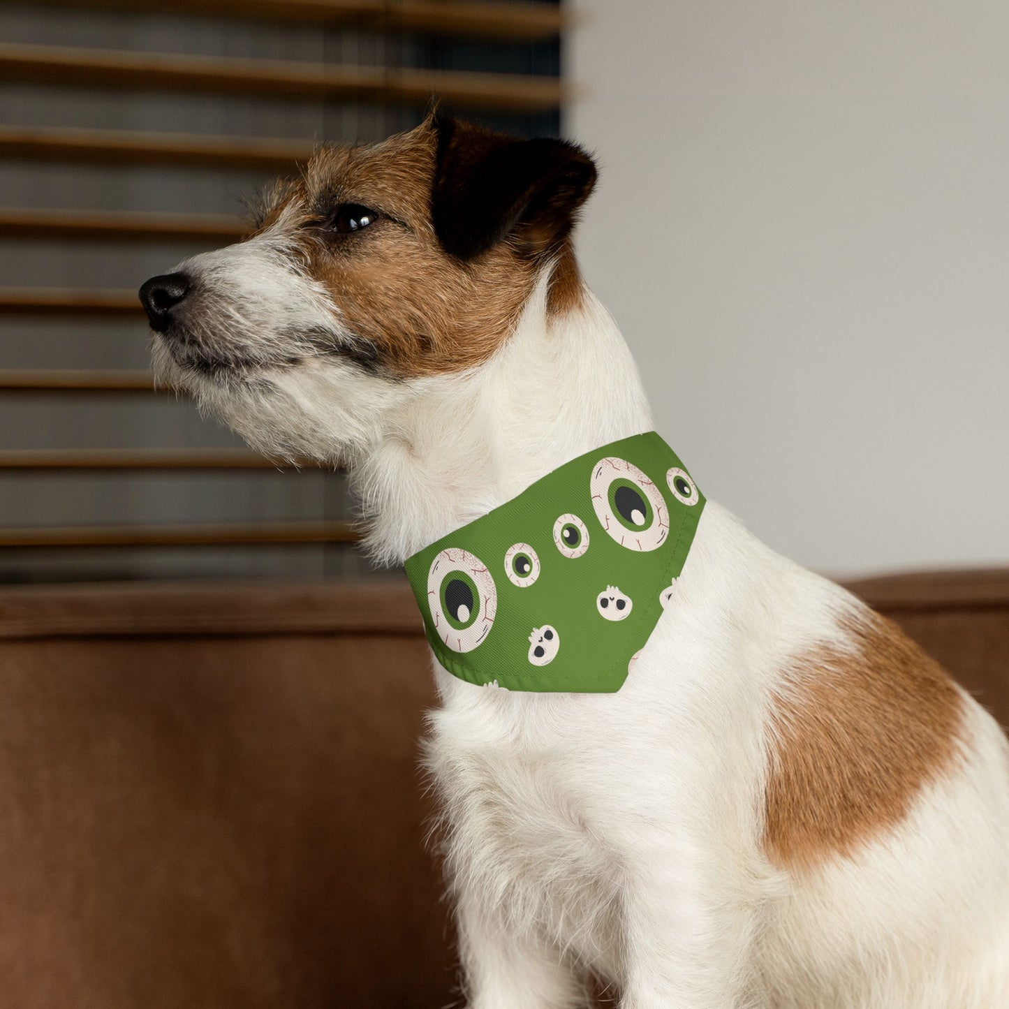 Eerie Eye Pet Bandana Collar