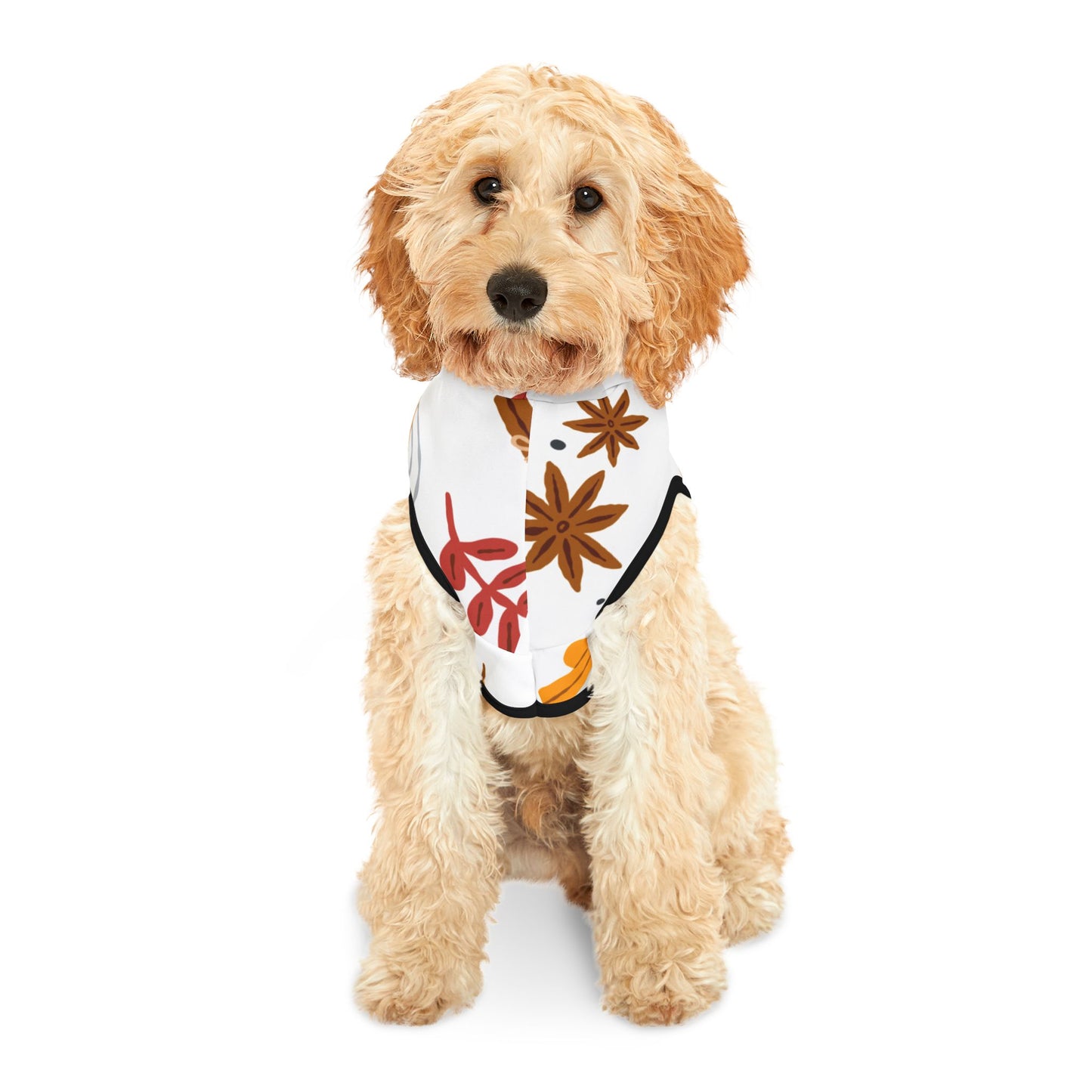 Autumn Leaves Pet Hoodie
