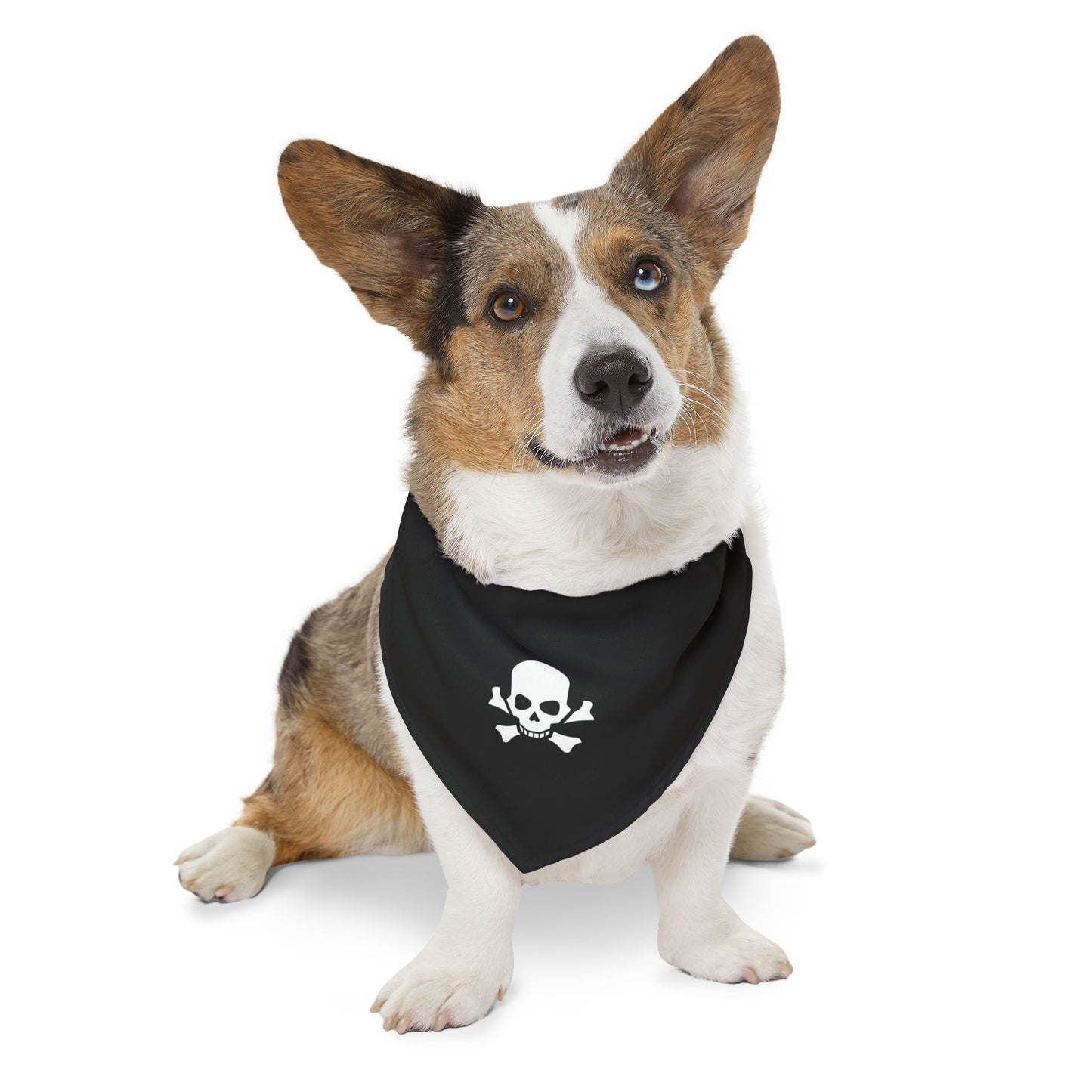 Skull & Bones Pet Bandana Collar