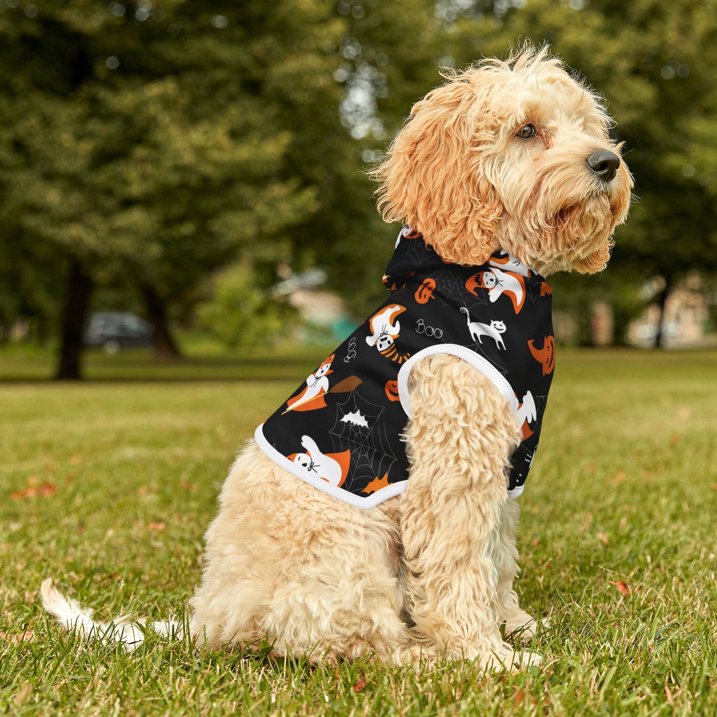 Halloween Pet Hoodie