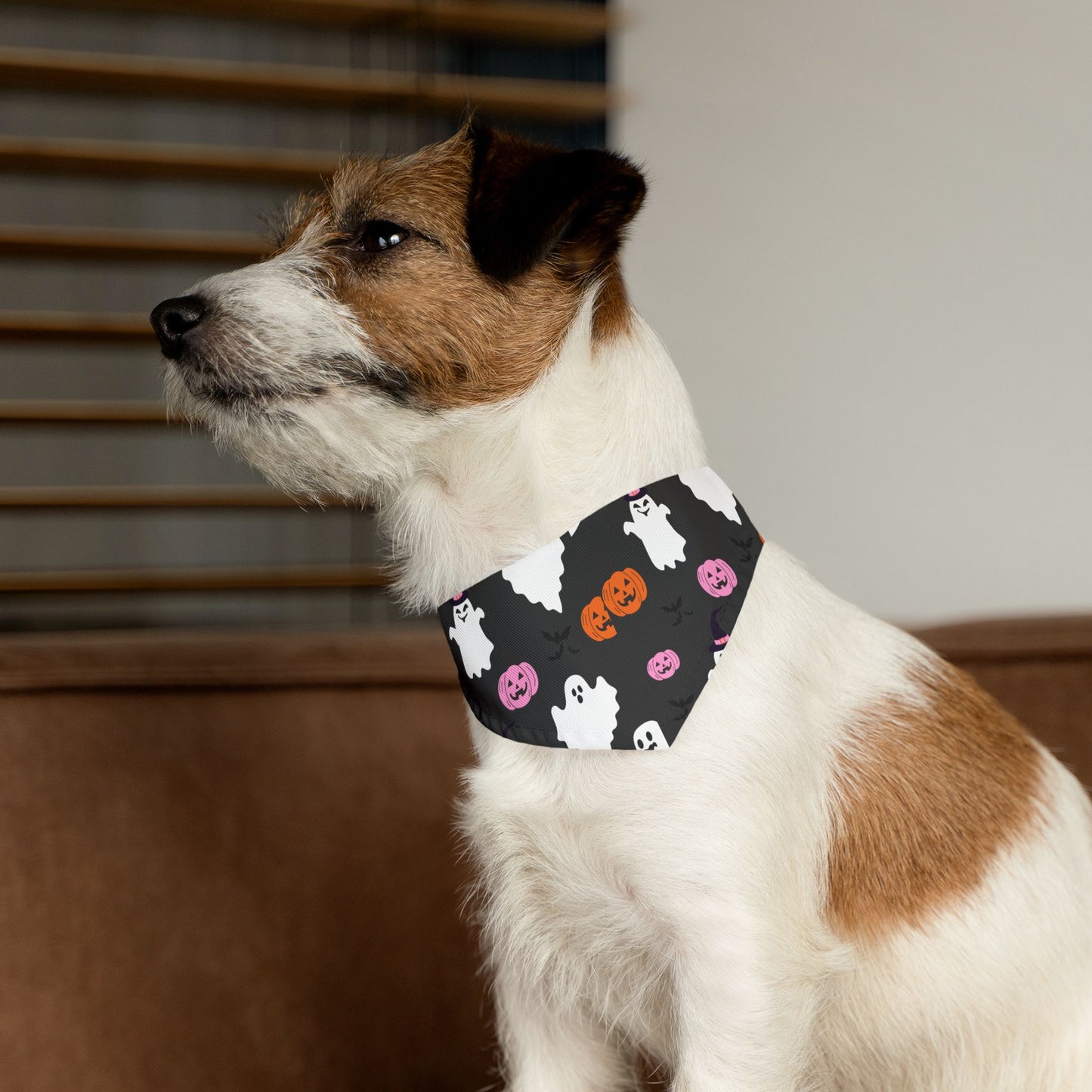 Halloween Pet Bandana Collar