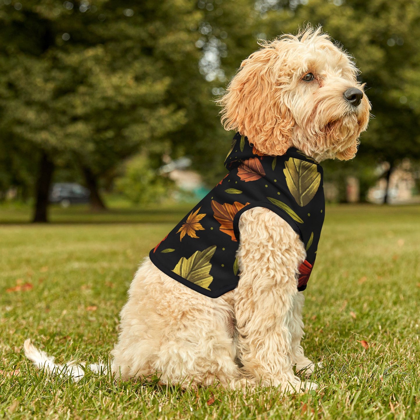 Autumn Leaves Pet Hoodie