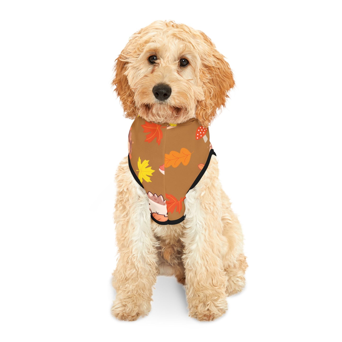 Cozy Hedgehog Pet Hoodie