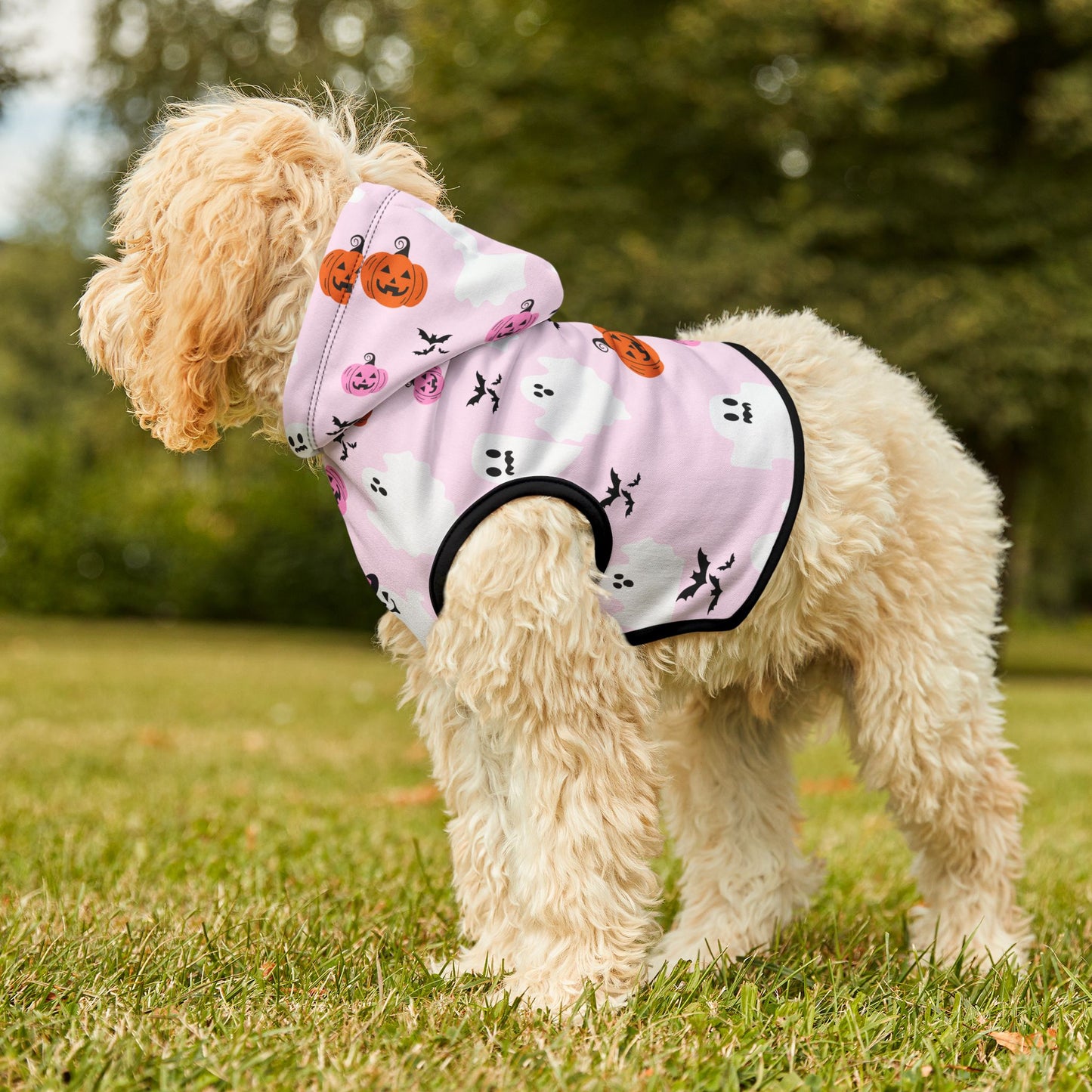 Halloween Pet Hoodie