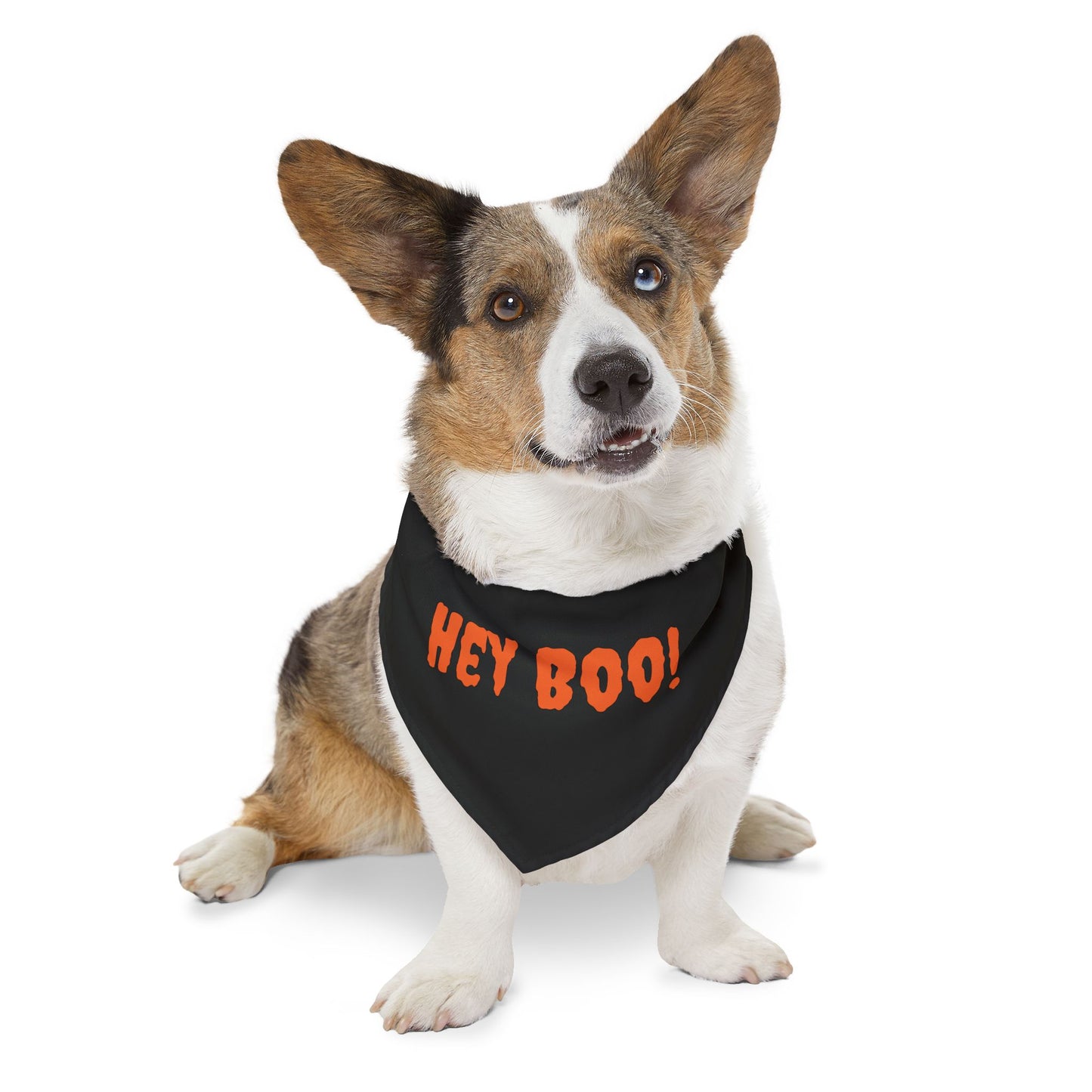Halloween Pet Bandana Collar