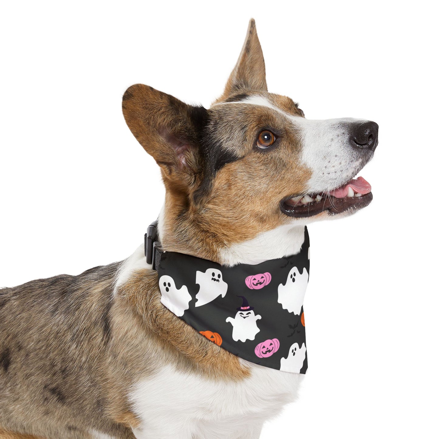 Halloween Pet Bandana Collar