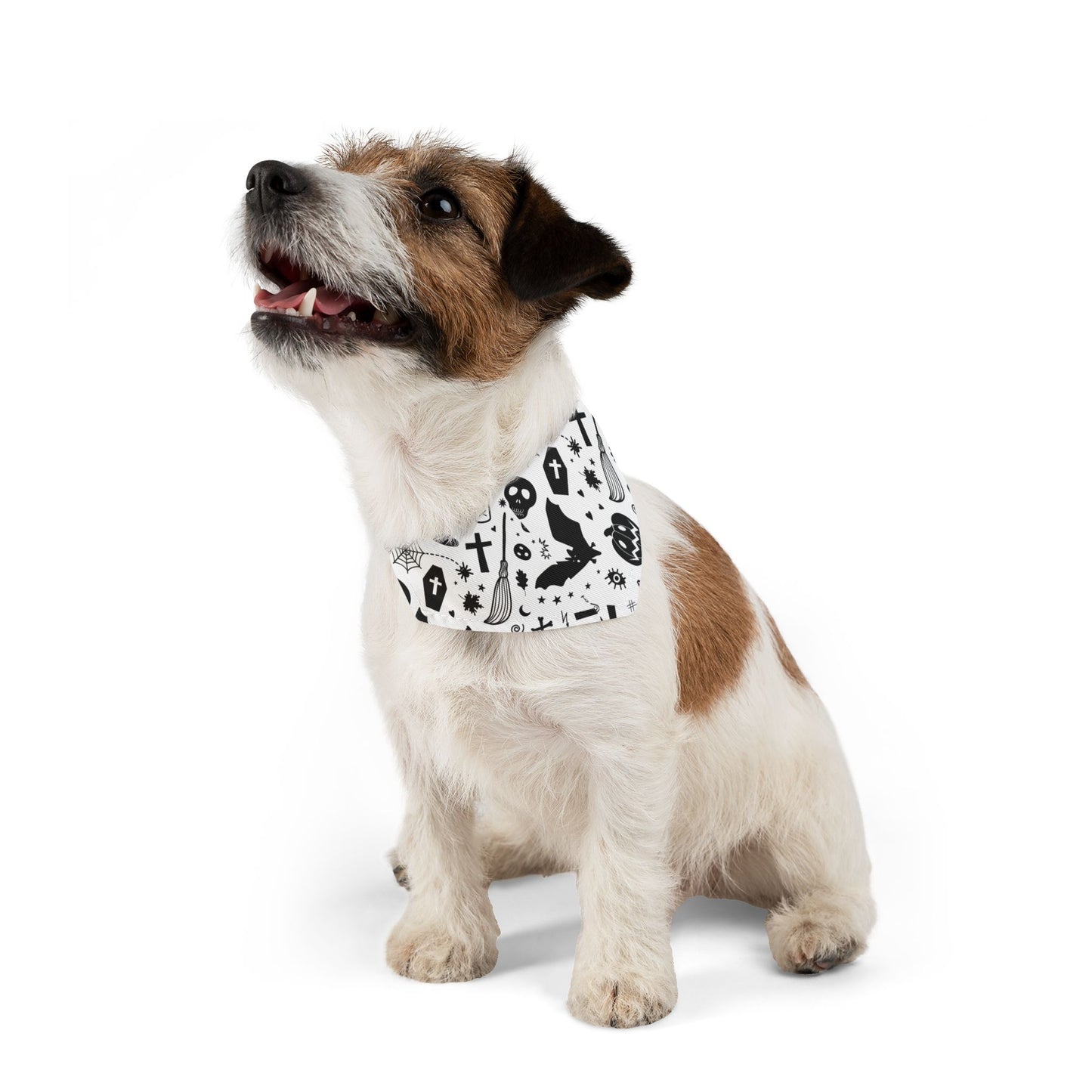 Spooky Dookie Pet Bandana Collar