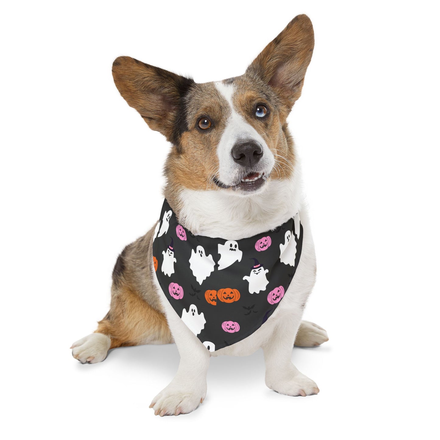Halloween Pet Bandana Collar