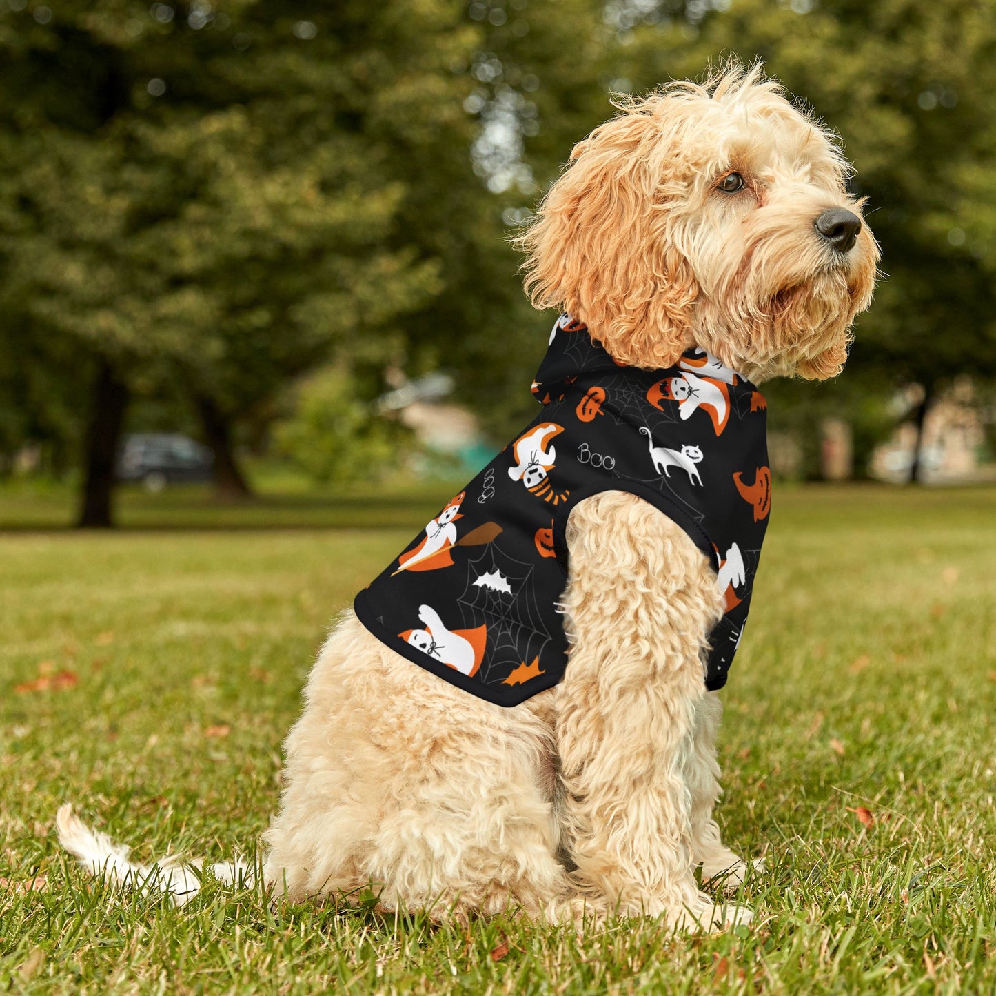Halloween Pet Hoodie