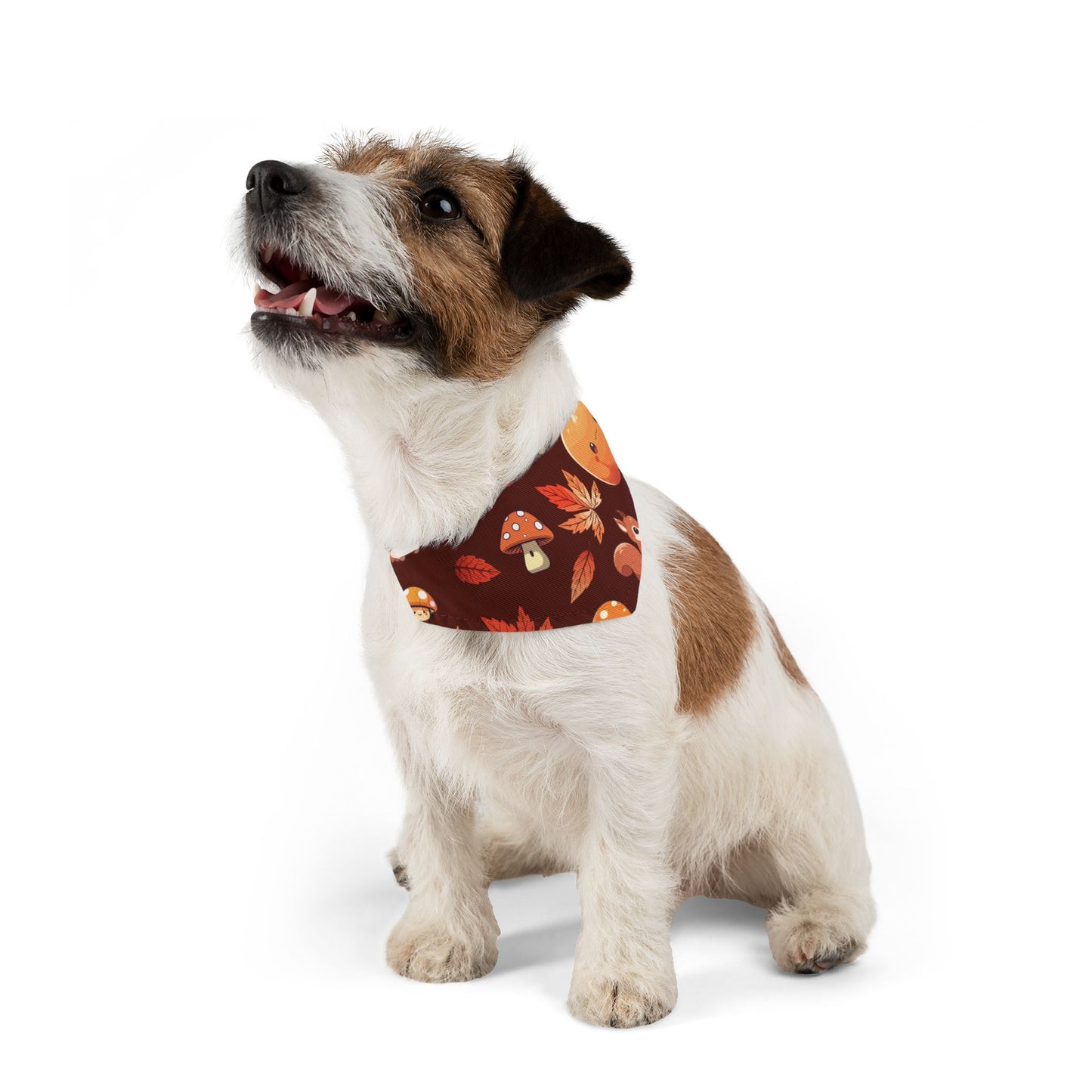 Autumn Pet Bandana Collar