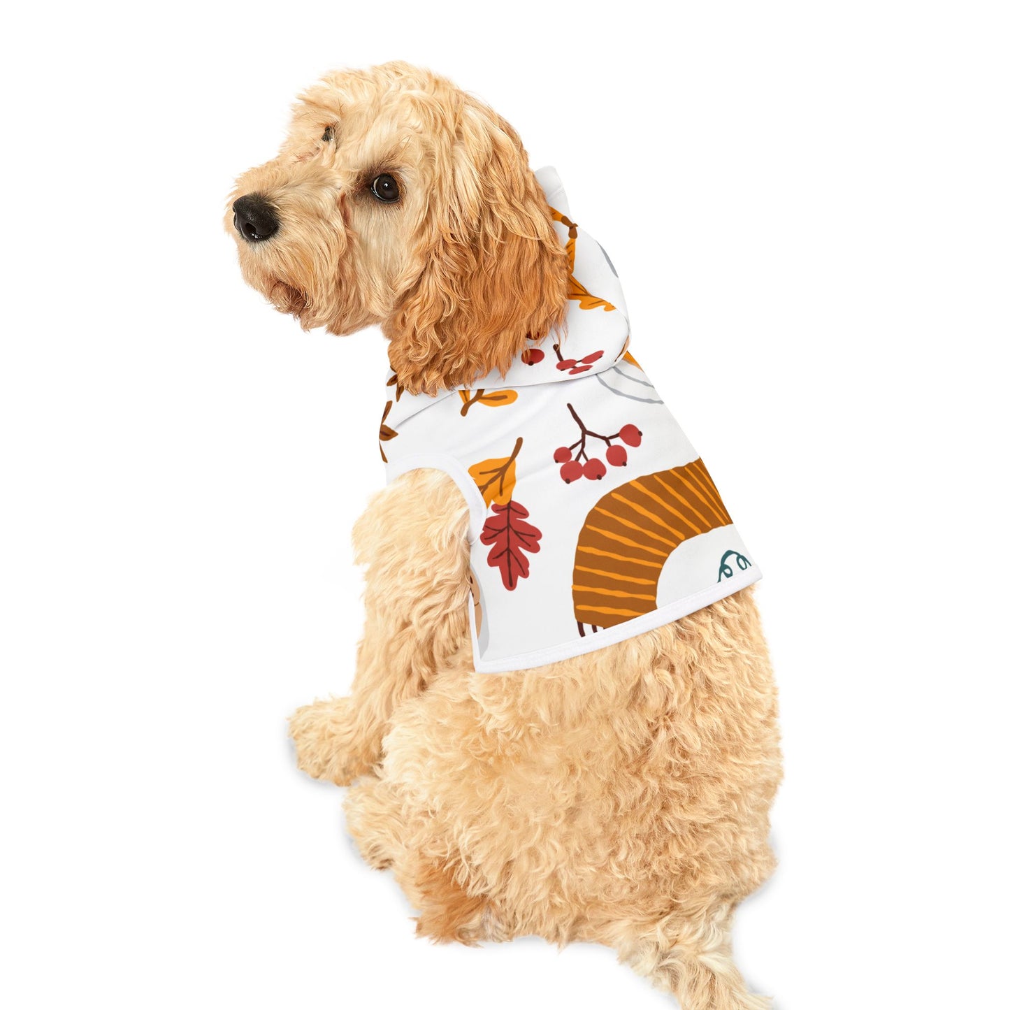 Autumn Leaves Pet Hoodie