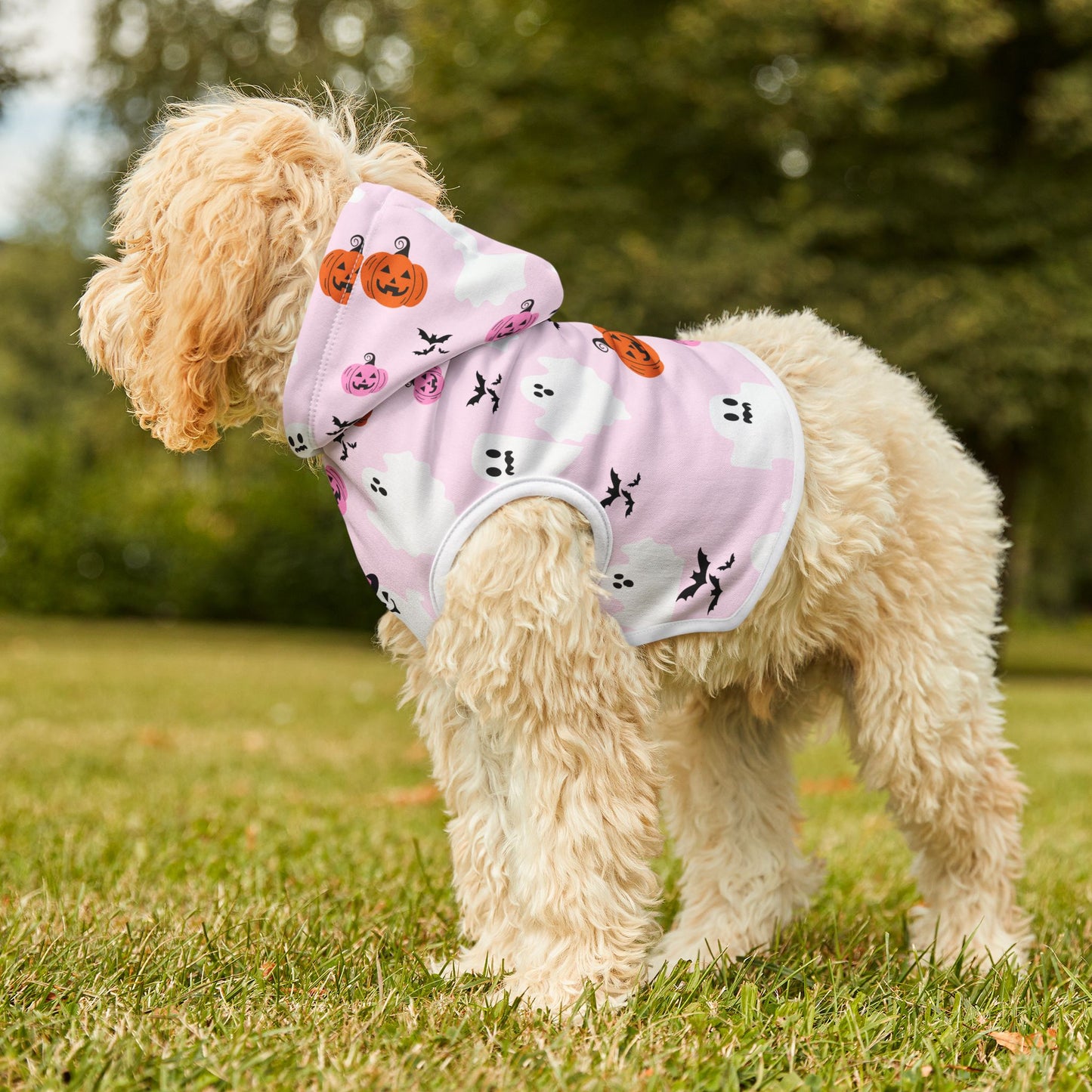 Halloween Pet Hoodie