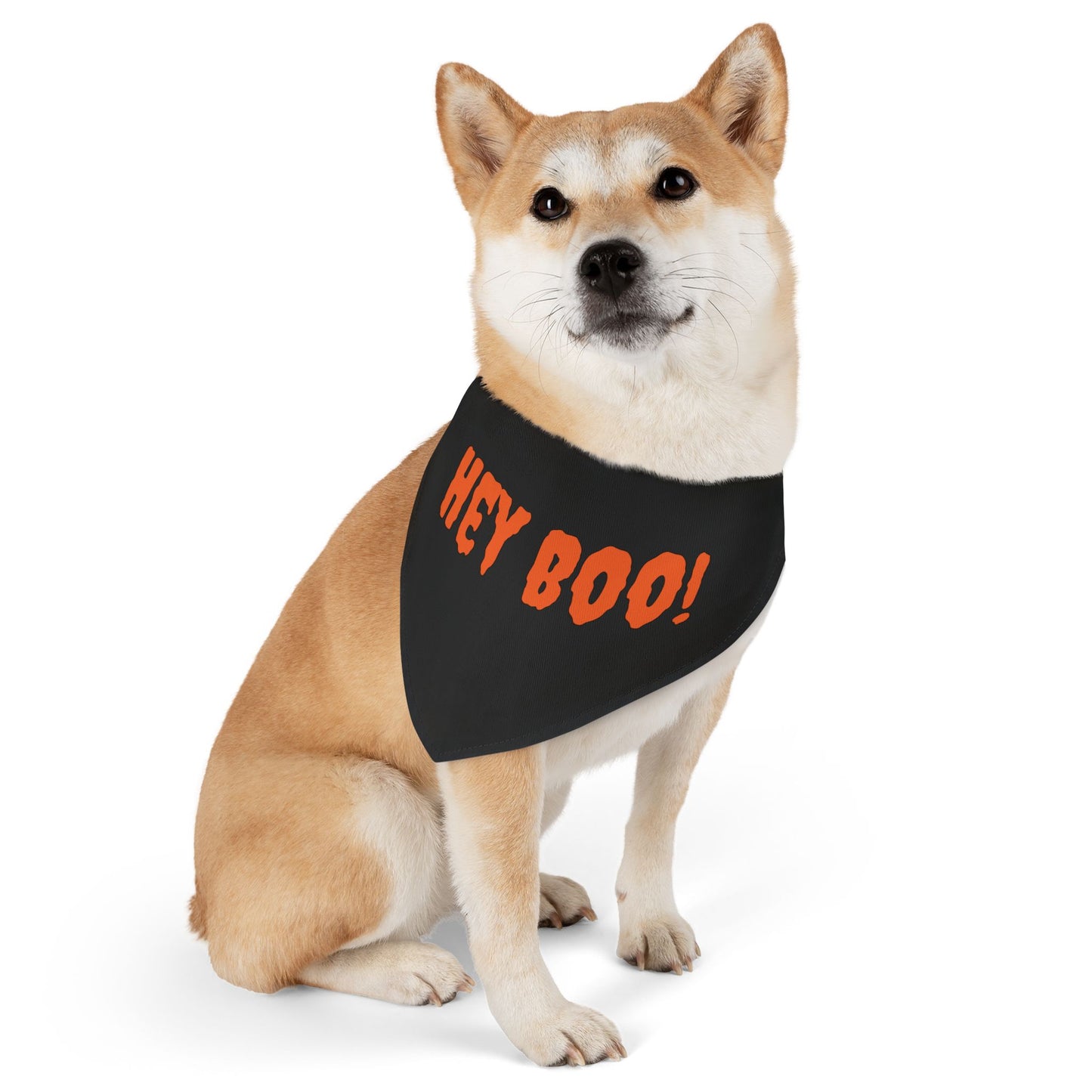 Halloween Pet Bandana Collar