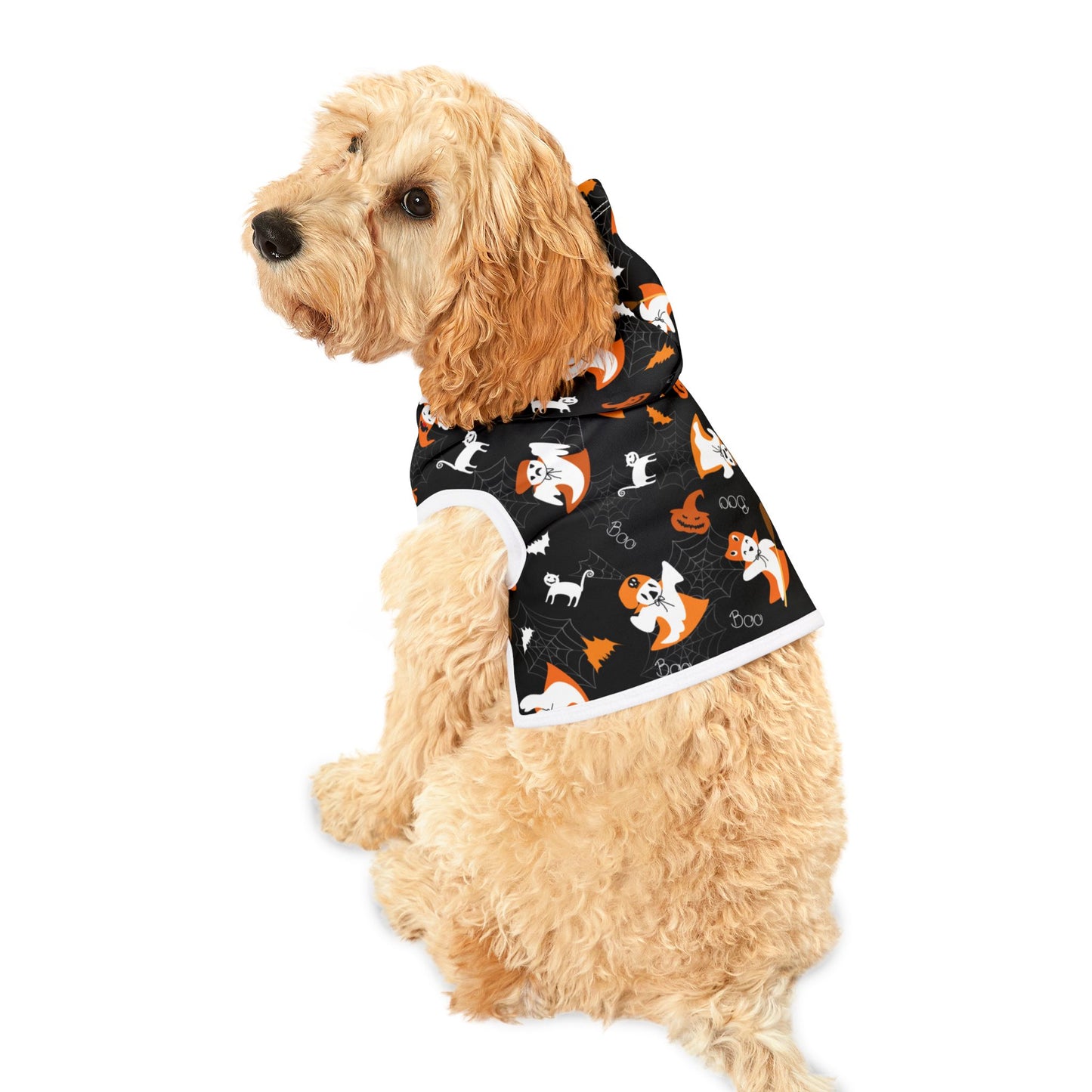Halloween Pet Hoodie