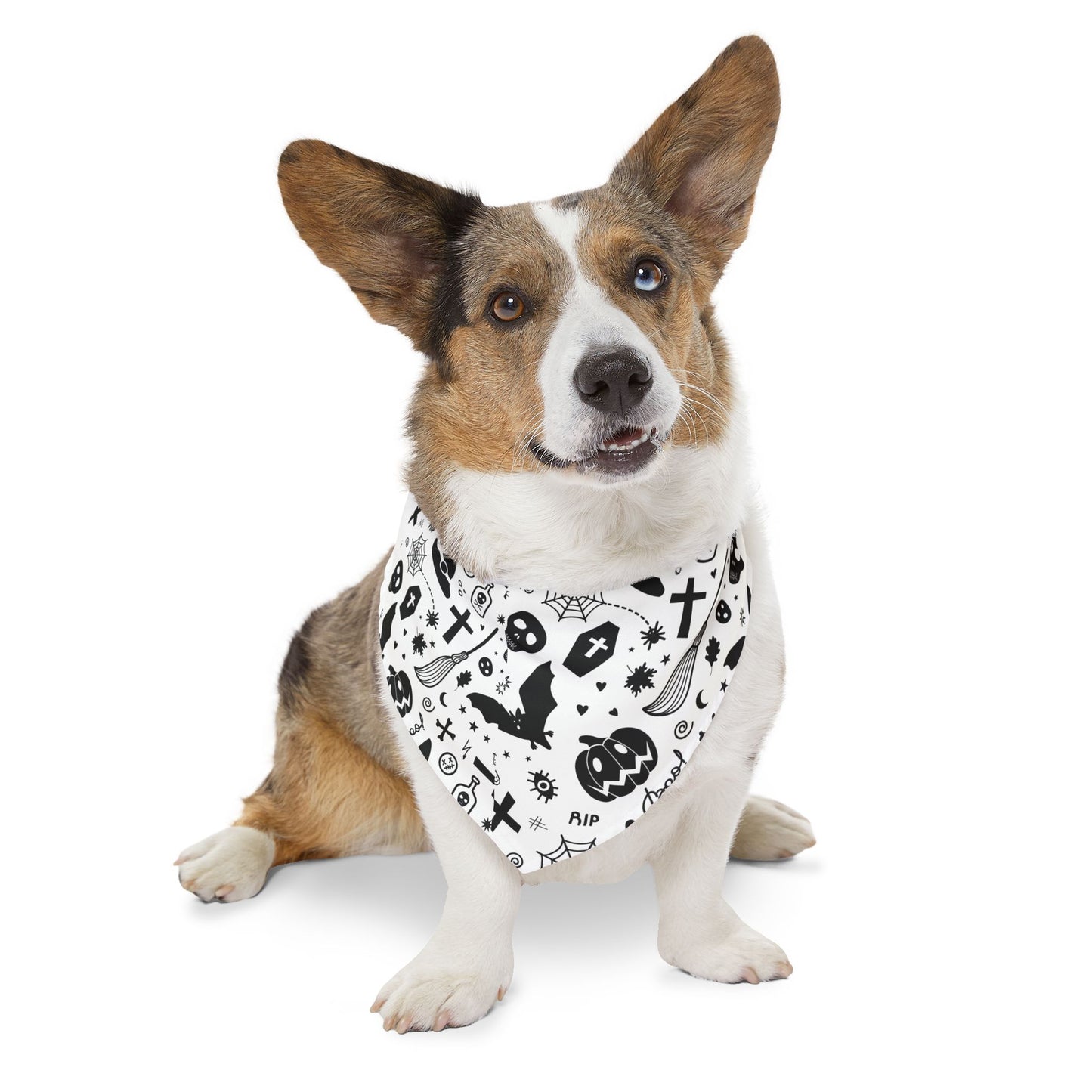 Spooky Dookie Pet Bandana Collar