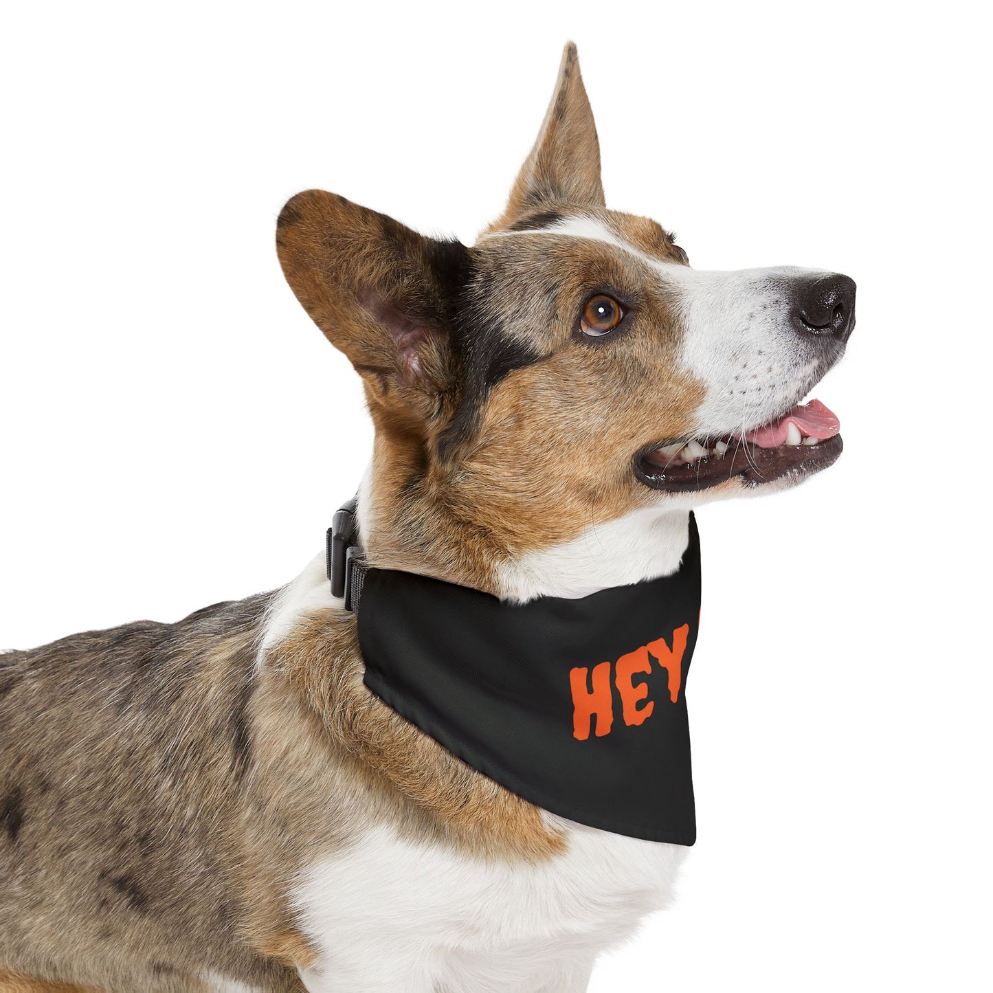 Halloween Pet Bandana Collar