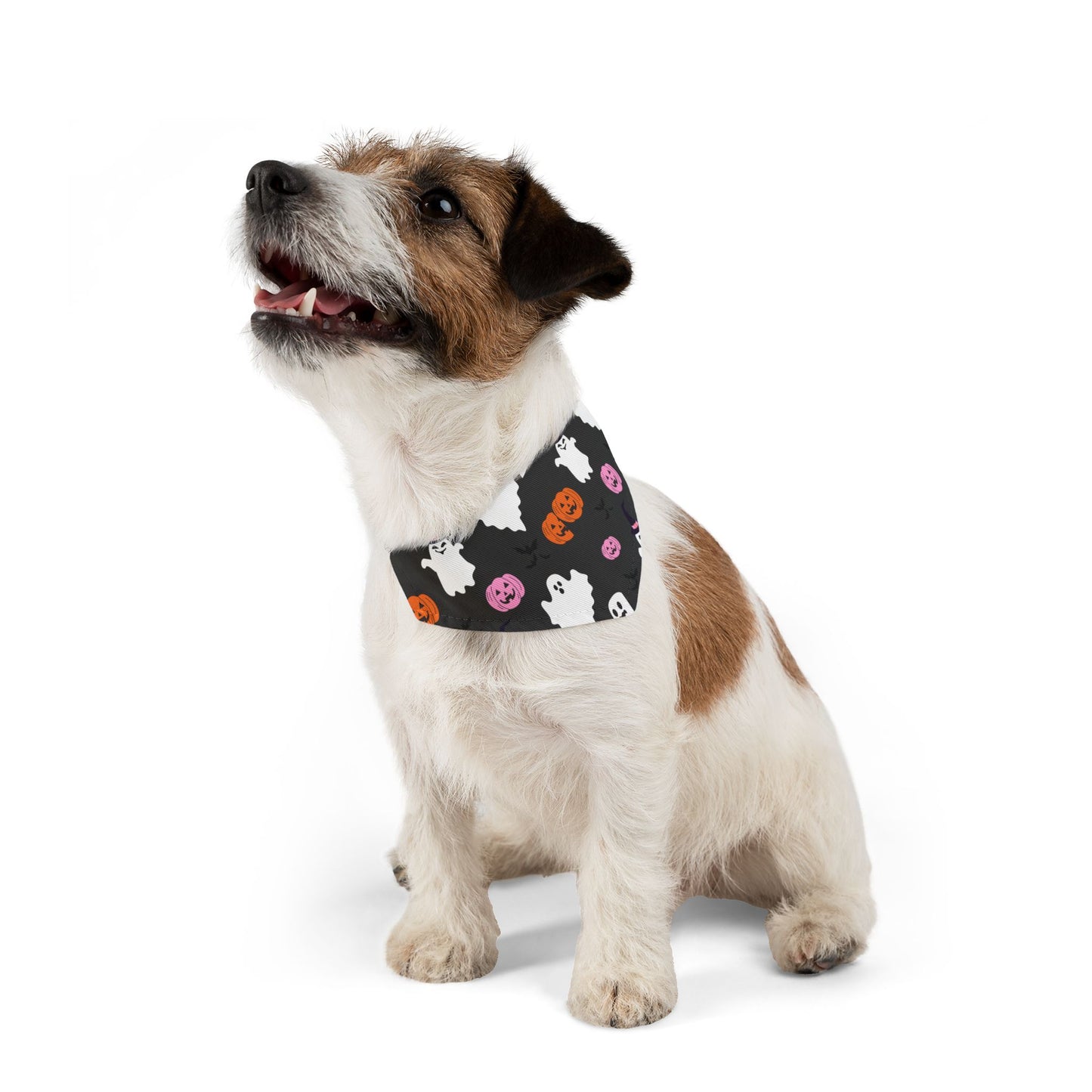 Halloween Pet Bandana Collar