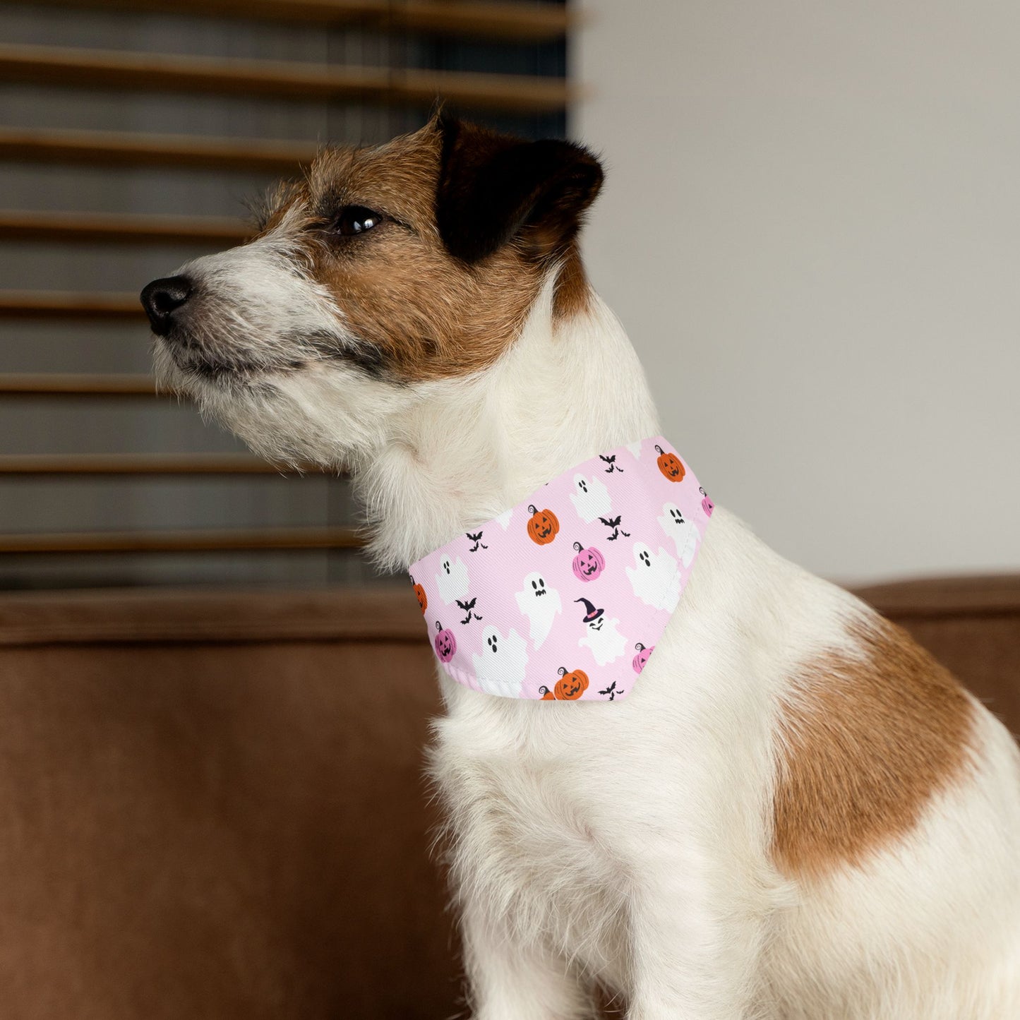 Halloween Pet Bandana Collar