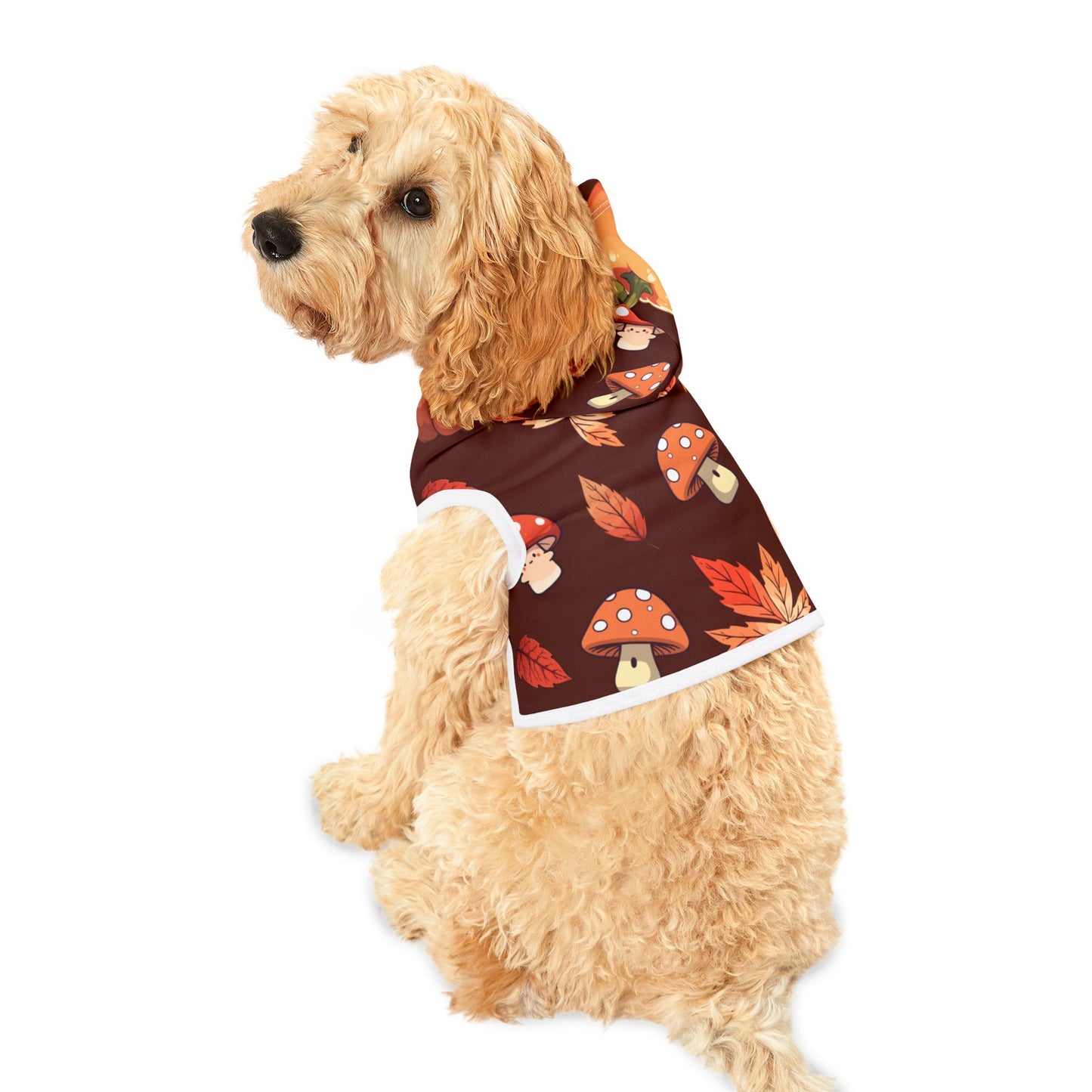 Autumn- Pet Hoodie