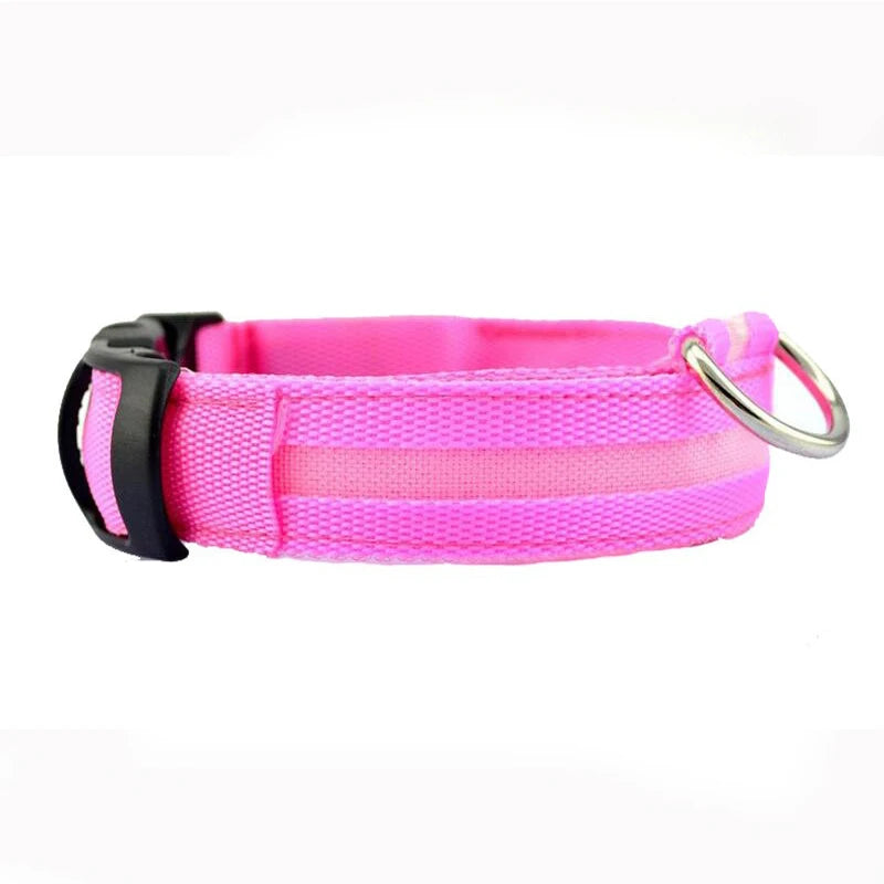 Print LED Collar