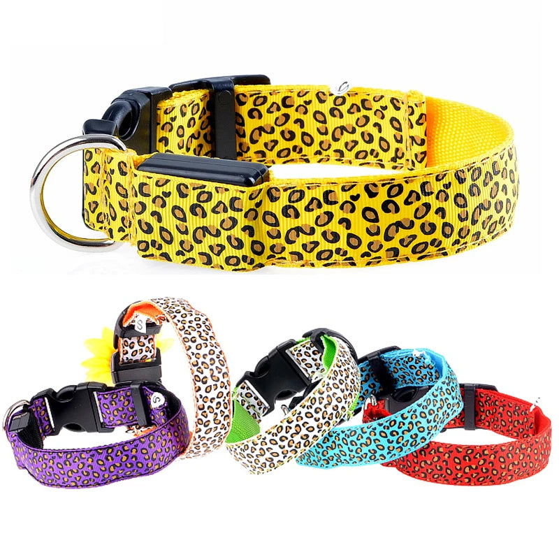 Print LED Collar