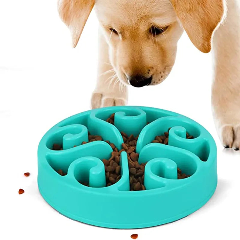 Slow Feeder Bowl