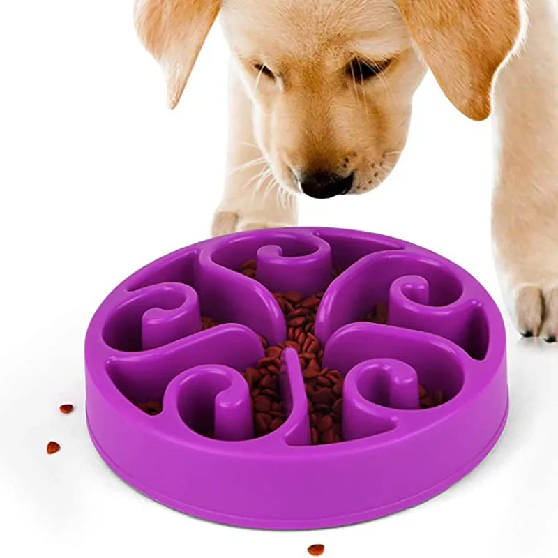 Slow Feeder Bowl