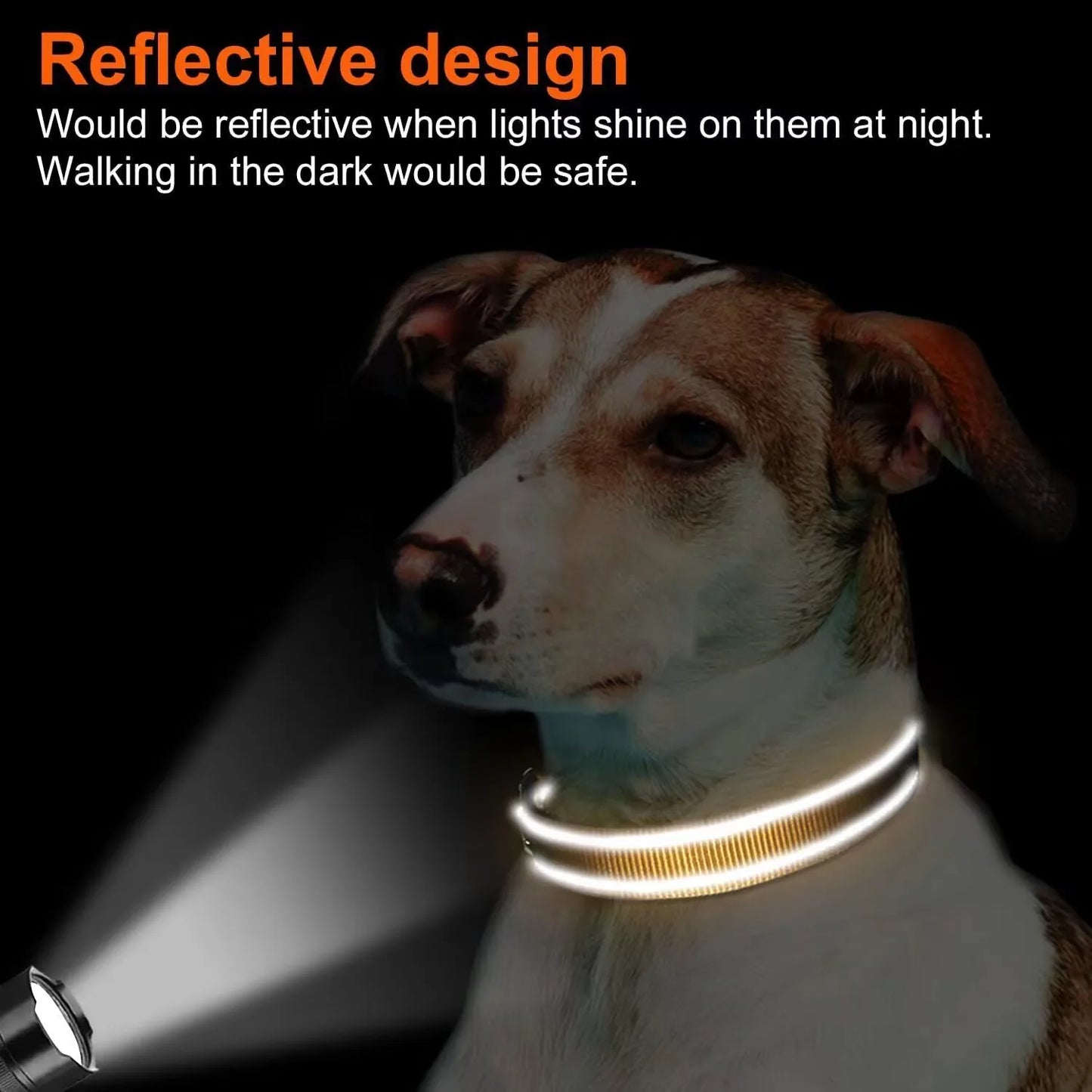 Glo Go  Reflective Collar