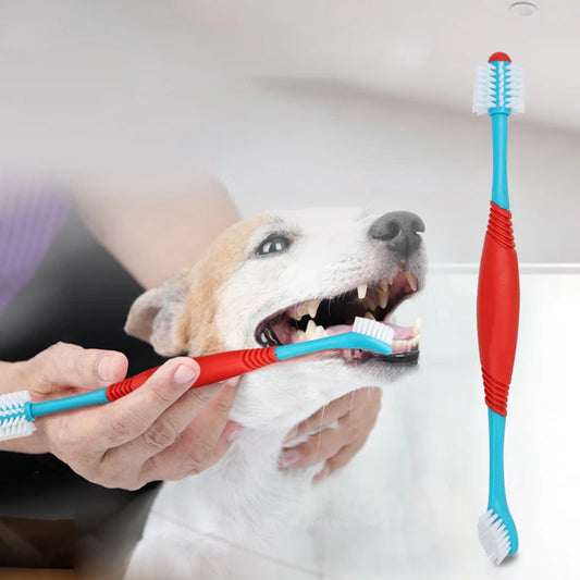 Toothbrush