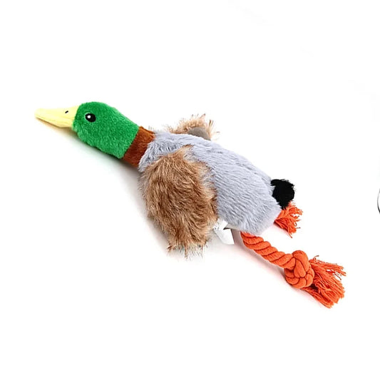 Quacky Duck Toy