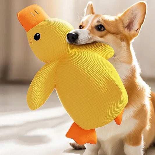 Plush Quack