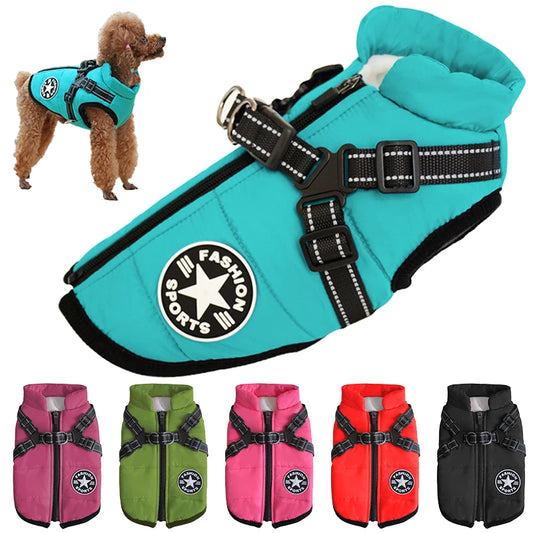 Jacket with Harness